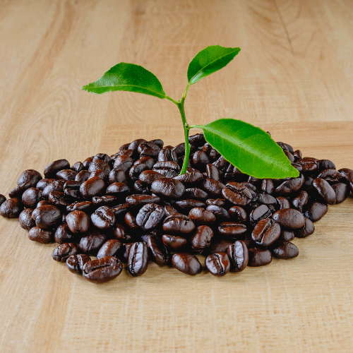 Is It Worth It to Buy Organic Coffee Beans? Discover Now 7 Is It Worth It to Buy Organic Coffee Beans? Discover Now