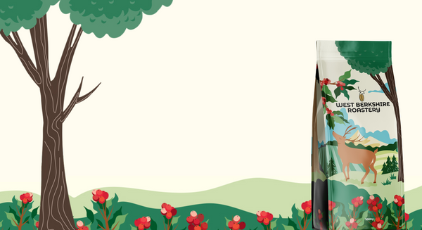 Organic Coffee Beans