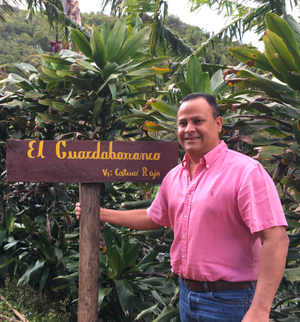 Wholesale Coffee