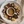 Buy Organic Coffee Beans