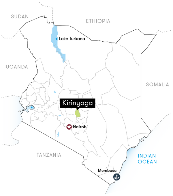 Kenya Coffee