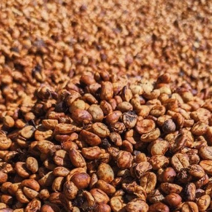 Black Honey Coffee